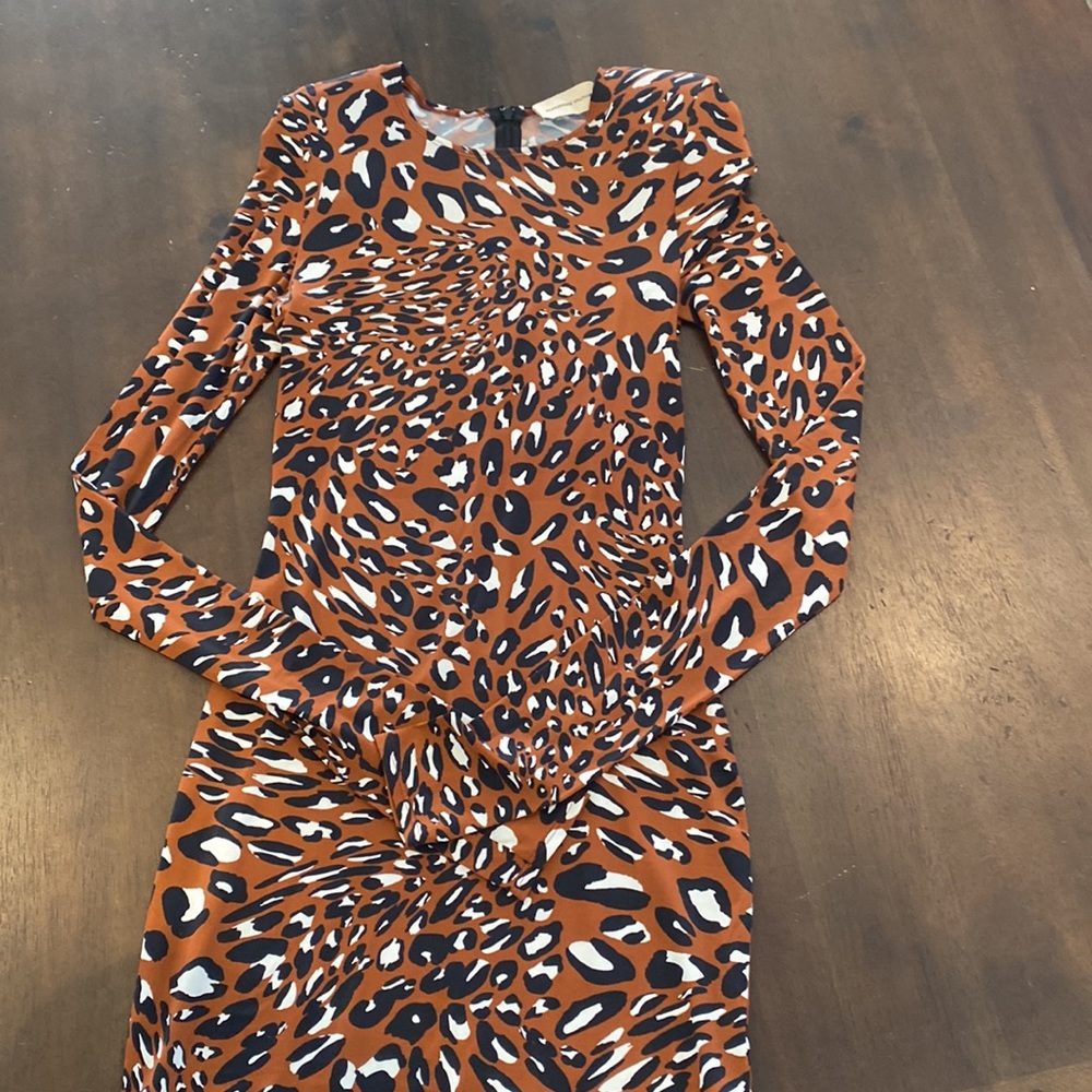 Alexandre vauthier cheetah dress